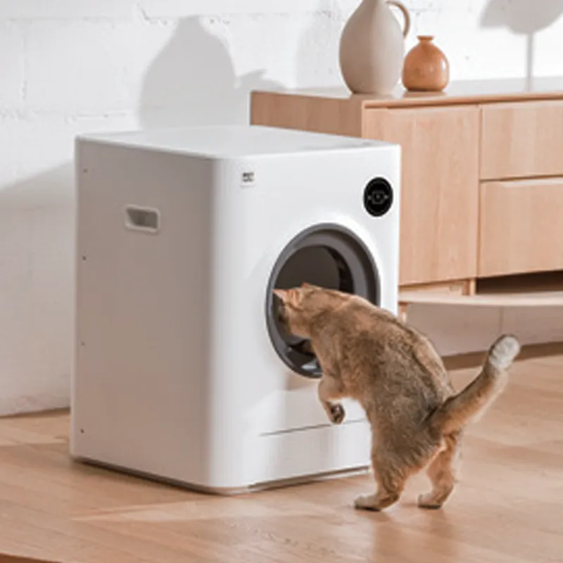 proveedor mayorista de arena inteligente para gatos