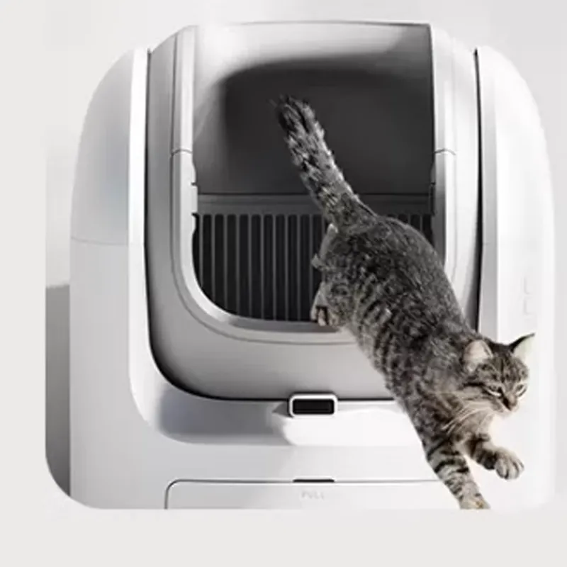 arena inteligente para gatos a granel