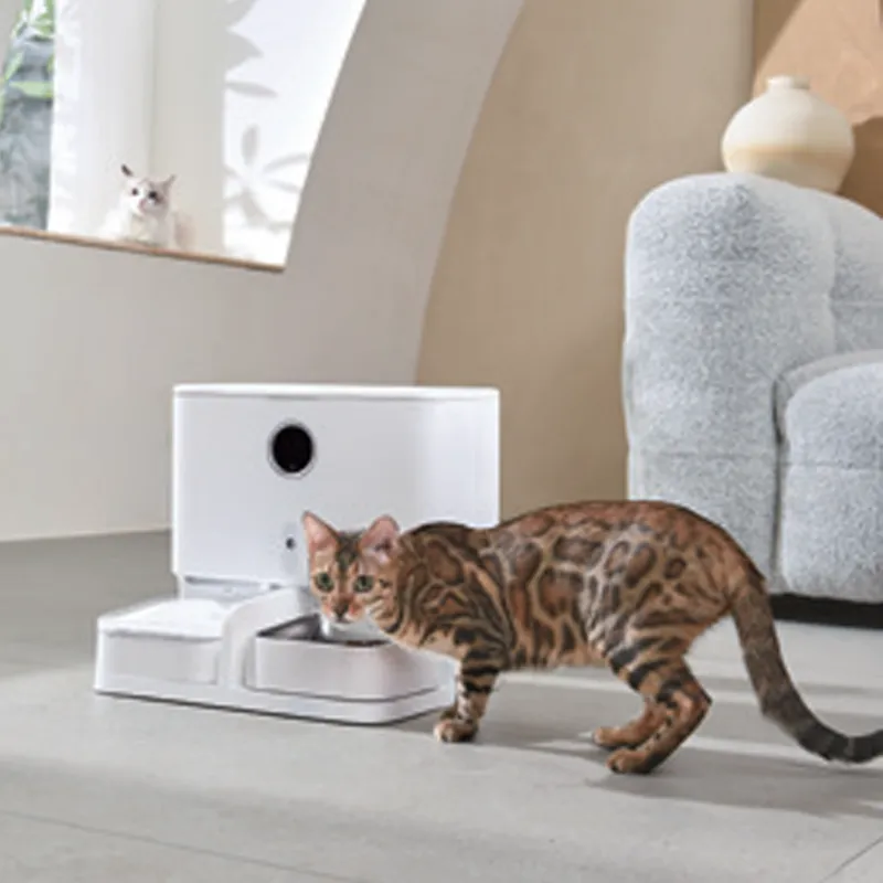 Fabricante de comederos y fuentes inteligentes para mascotas en venta.